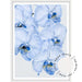 Blue Orchid no.2 - Love Your Space