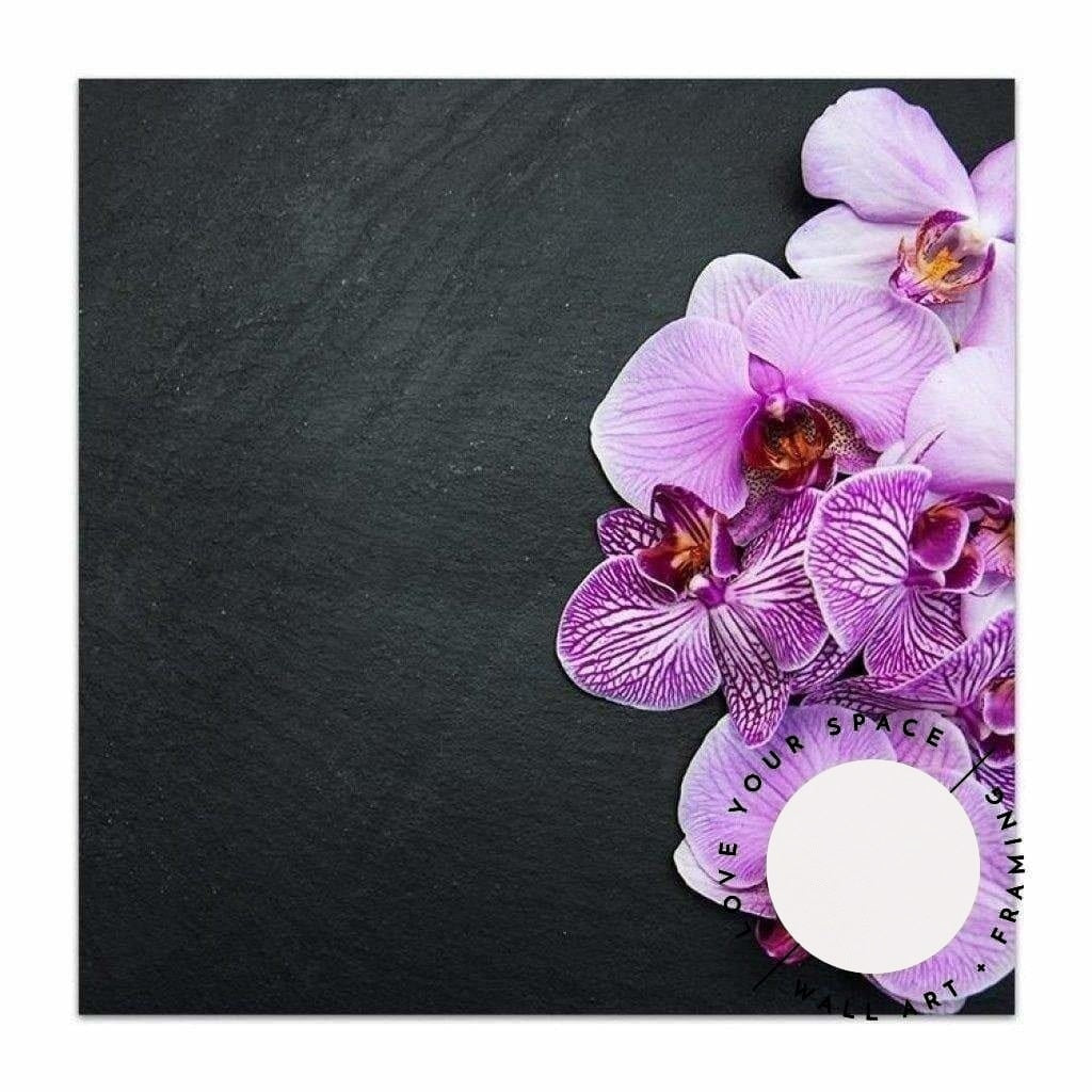 Bold Orchids - SQUARE - Love Your Space
