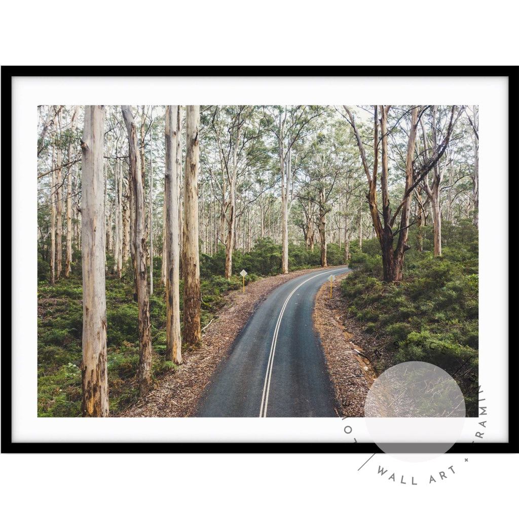 Boranup Forest - Western Australia
