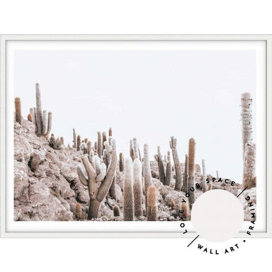 Cactus Island - Bolivia - Love Your Space