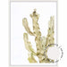 Cactus Love - White - Love Your Space