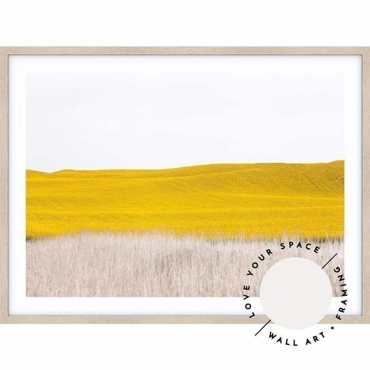 Canola II - Country Victoria - Love Your Space