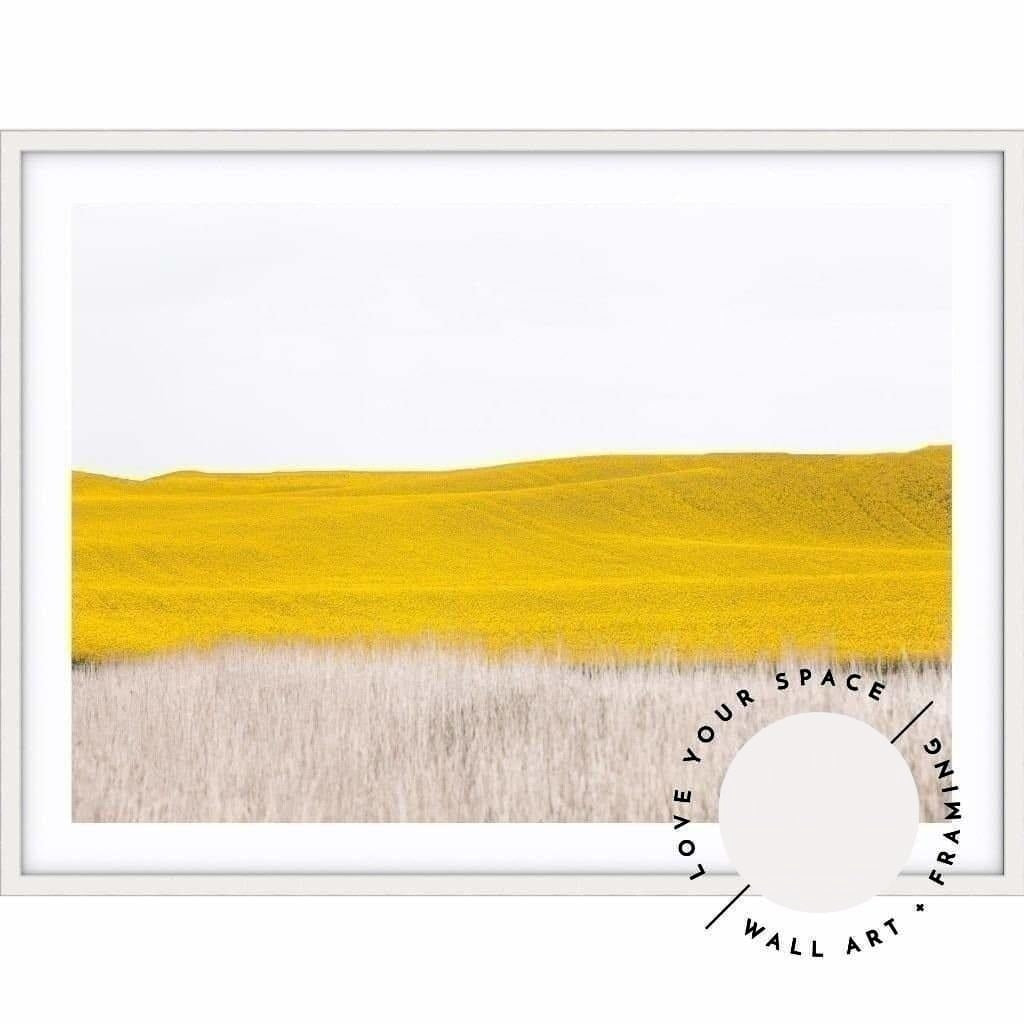 Canola II - Country Victoria - Love Your Space