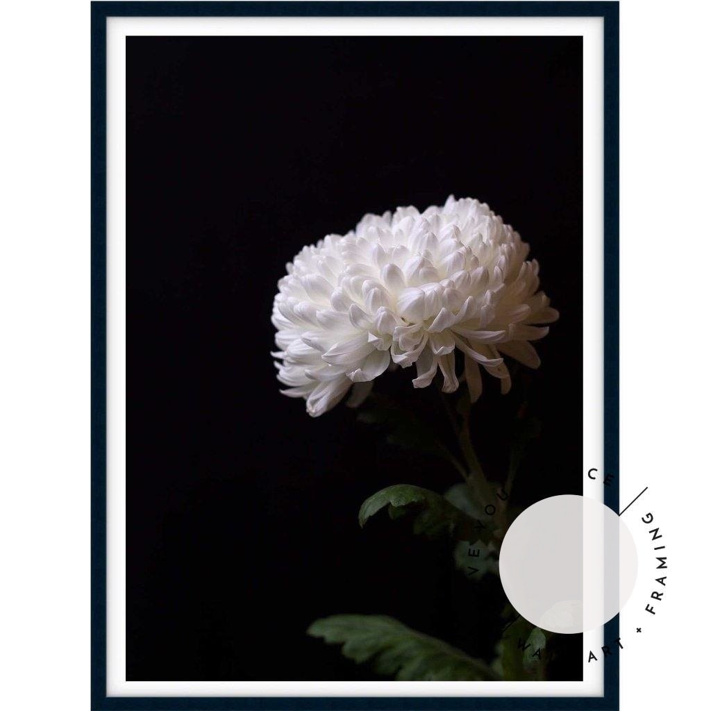 Chrysanthemums III - Love Your Space