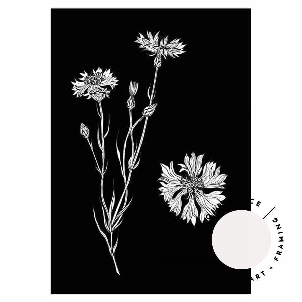 Cornflower Sketch - Love Your Space