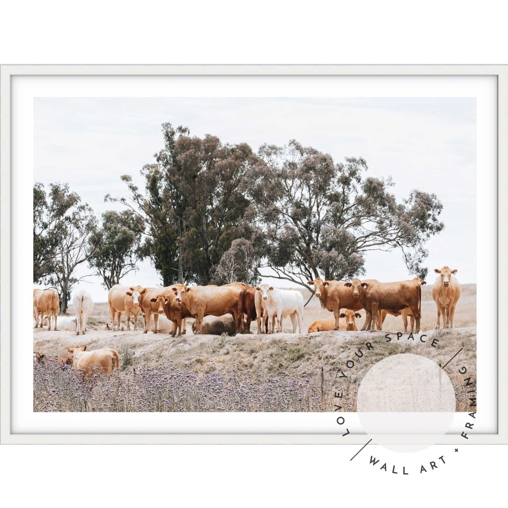 Country Cattle II - Love Your Space