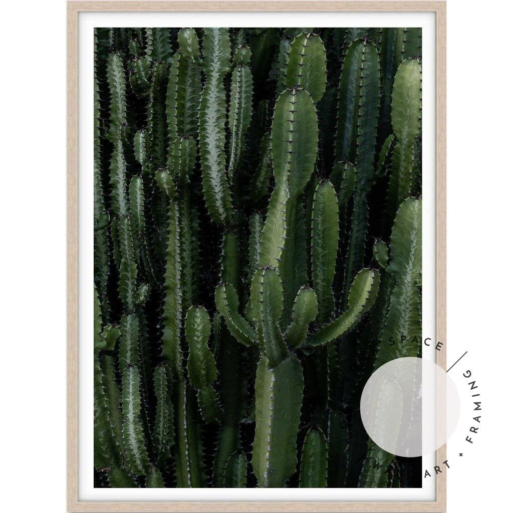 Crowded Cactus - Love Your Space