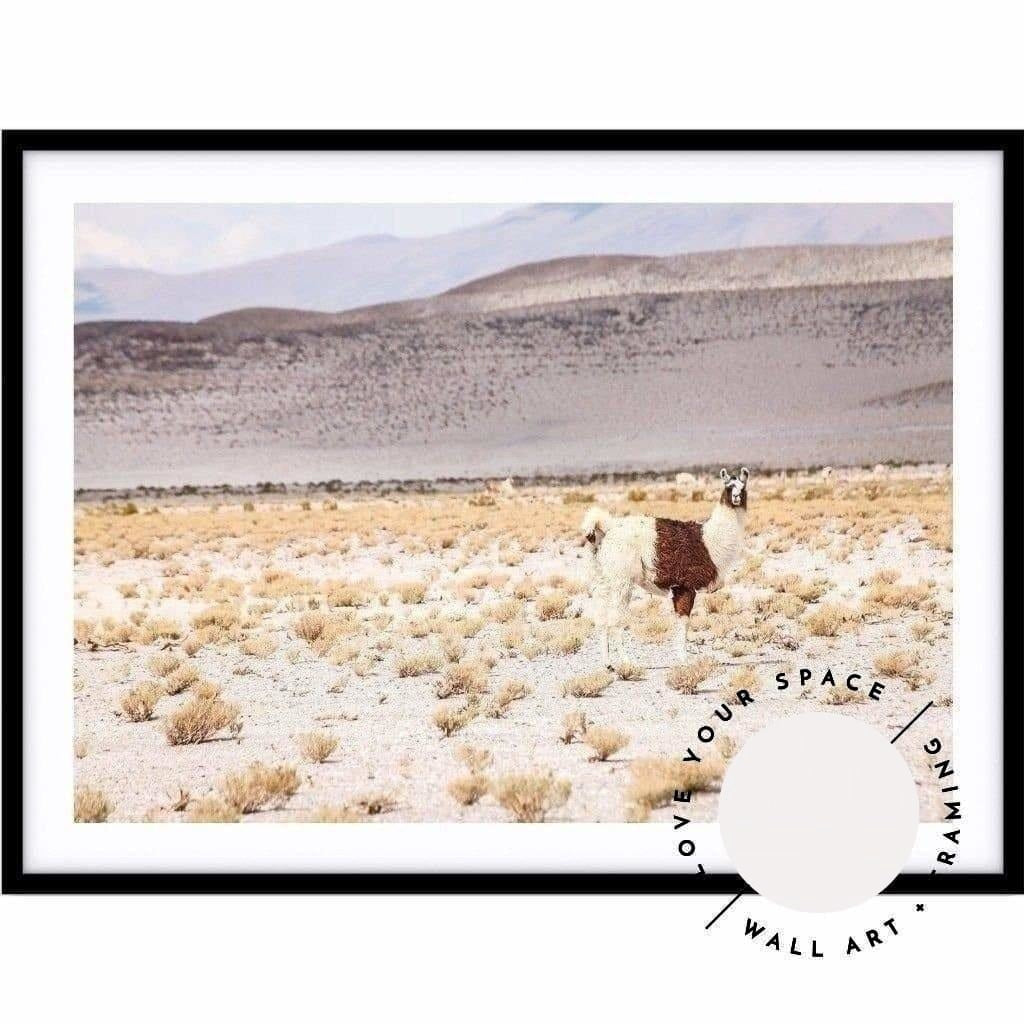 Desert I - Bolivia - Love Your Space