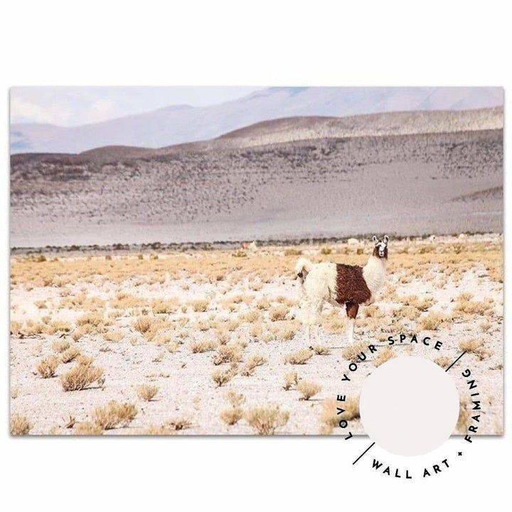 Desert I - Bolivia - Love Your Space