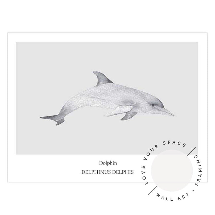 Dolphin - Love Your Space