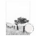 Fence - Black & White - Country Victoria - Love Your Space