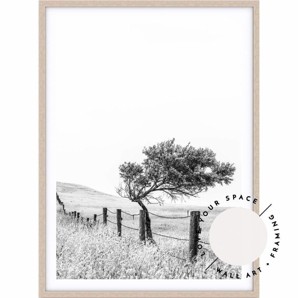 Fence - Black & White - Country Victoria - Love Your Space