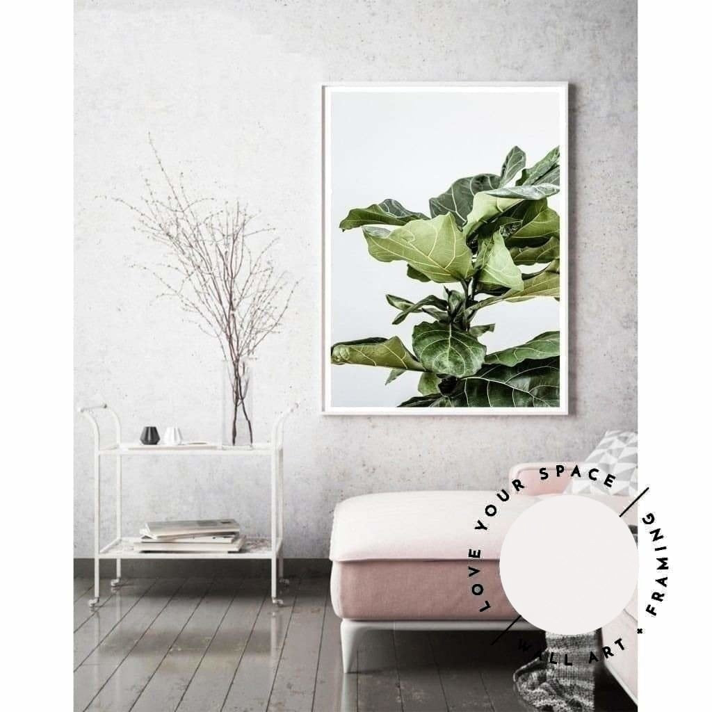 Fiddle Leaf no.2 - Love Your Space