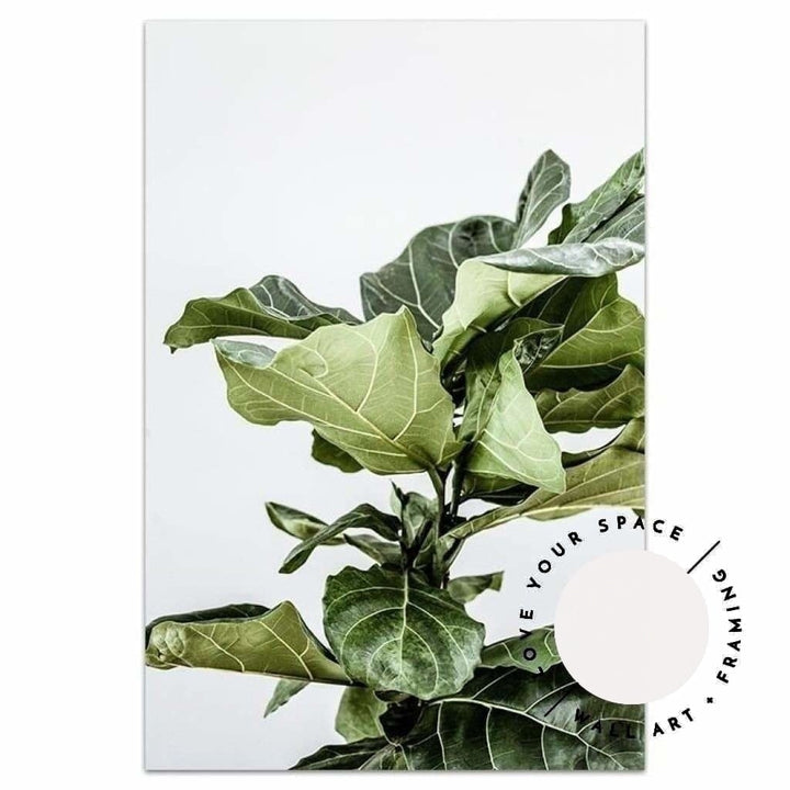 Fiddle Leaf no.2 - Love Your Space