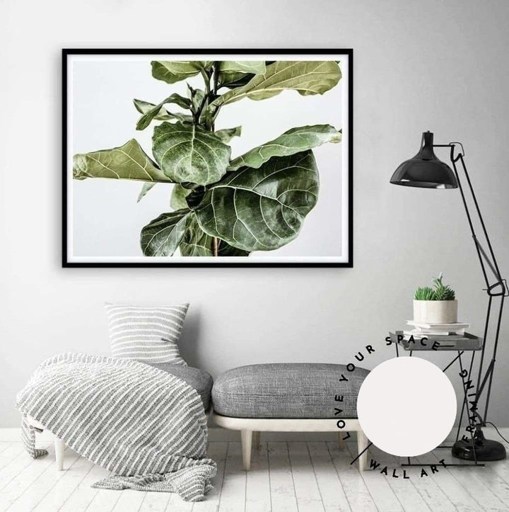 Fiddle Leaf no.3 - Love Your Space