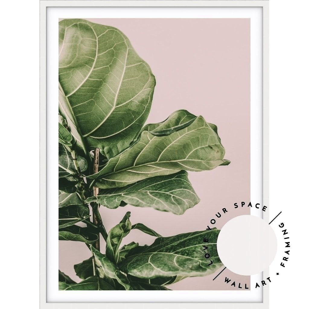 Fiddle Leaf On Pink no.2 - Love Your Space