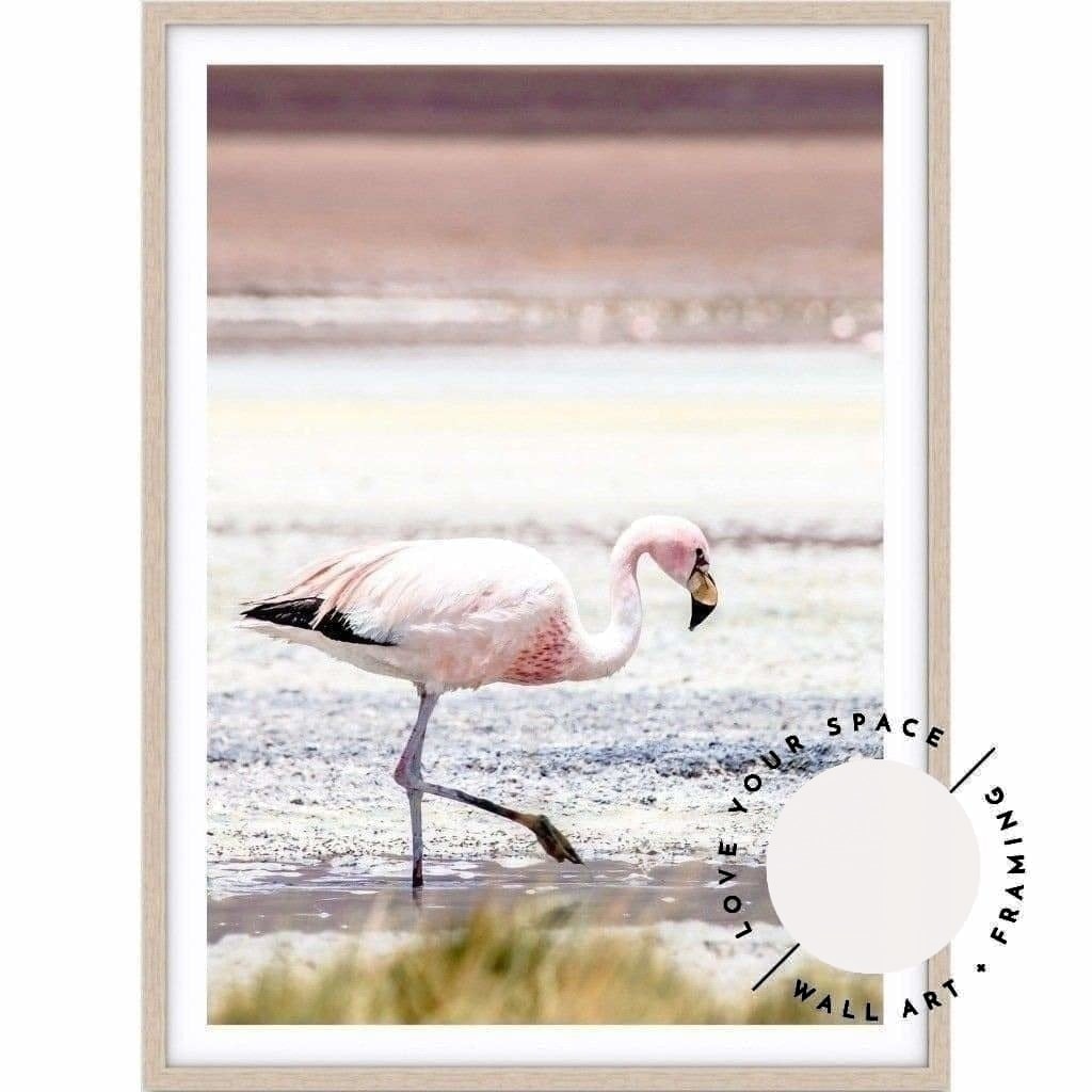 Flamingo - Bolivia - Love Your Space