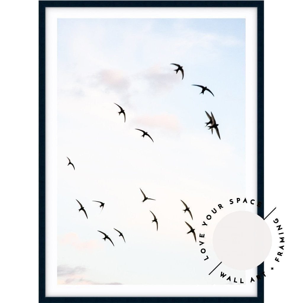 Flock of Birds - Love Your Space