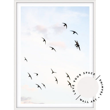 Flock of Birds - Love Your Space