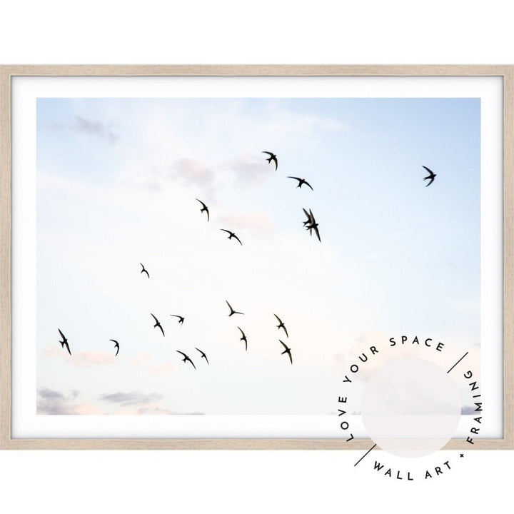 Flock of Birds - LS - Love Your Space