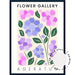 Flower Gallery - Ageratum - Love Your Space