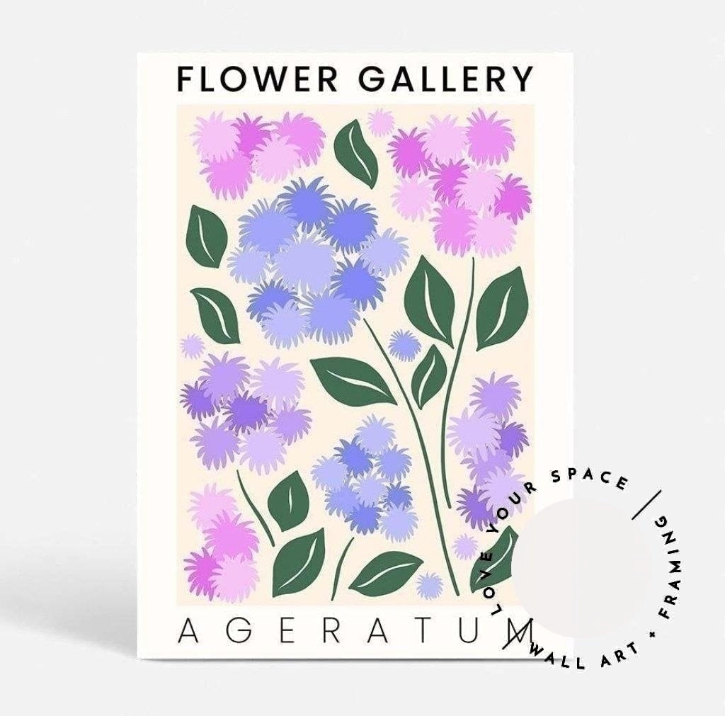 Flower Gallery - Ageratum - Love Your Space