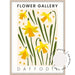 Flower Gallery - Daffodil - Love Your Space