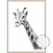 Giraffe B+W - Love Your Space