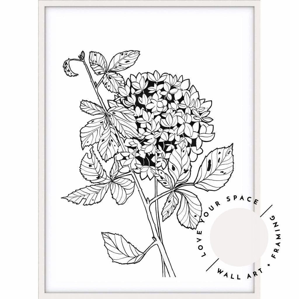 Hydrangea Sketch - Love Your Space