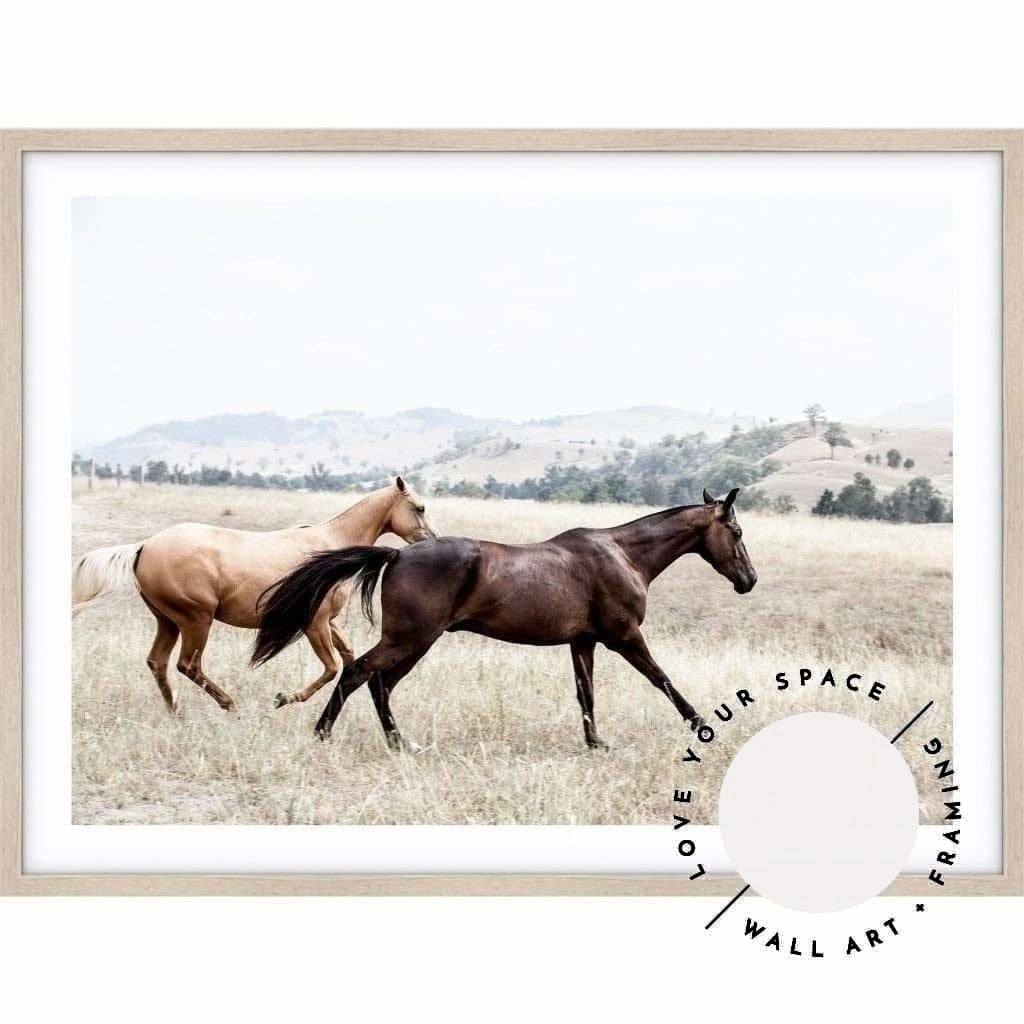 Ishani & Aussie no.1 - The Hunter Valley - Love Your Space