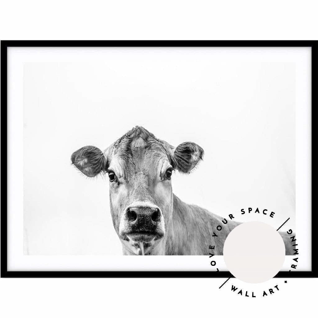 Jersey Cow B+W - Love Your Space