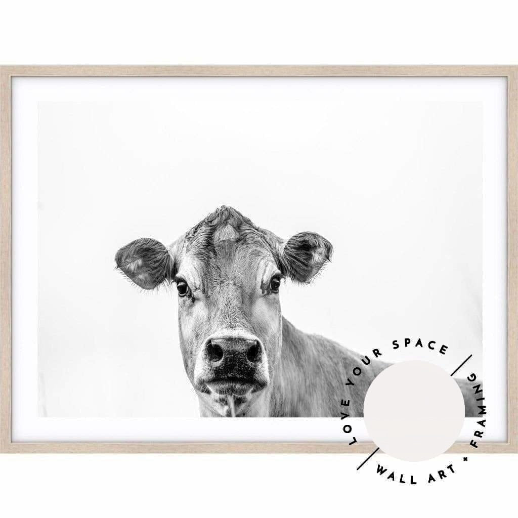 Jersey Cow B+W - Love Your Space