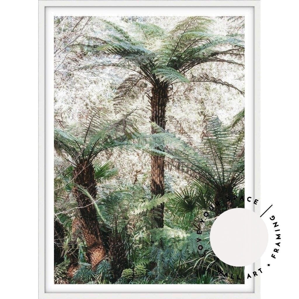Katoomba Ferns - Love Your Space