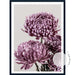 Mauve Chrysanthemum I - Love Your Space