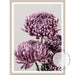 Mauve Chrysanthemum I - Love Your Space