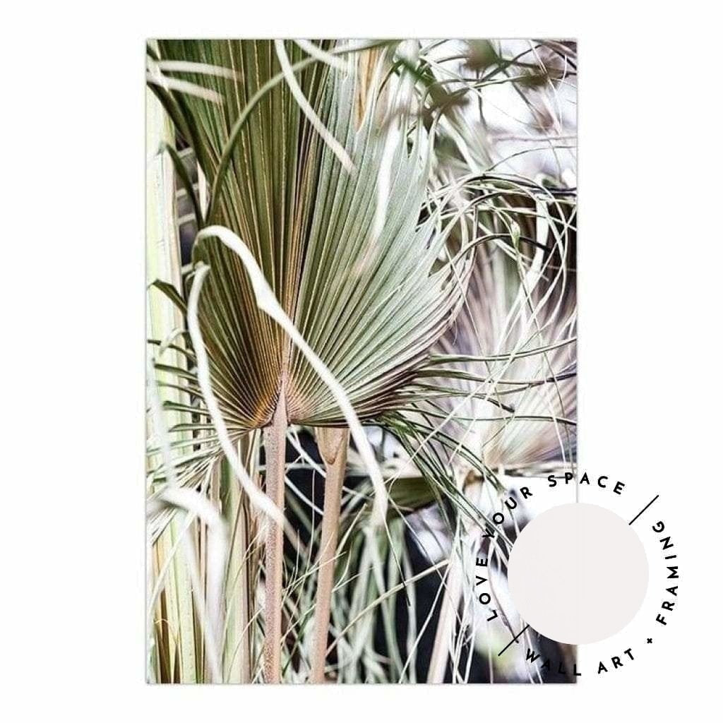 Messy Fan Palms no.2 - Love Your Space