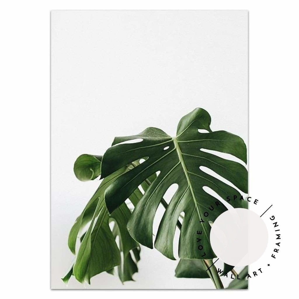 Monstera Leaf - Love Your Space