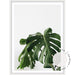 Monstera Leaf - Love Your Space