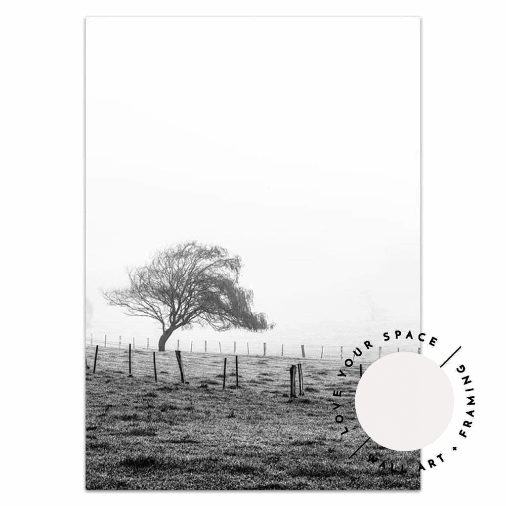 Morning Fog II - Black & White - Country Victoria - Love Your Space