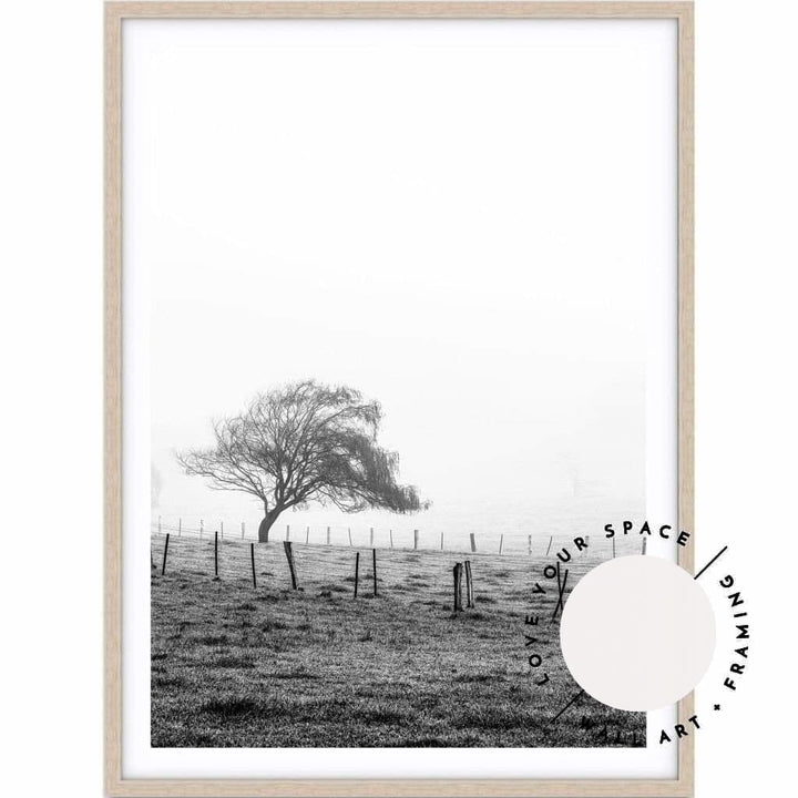 Morning Fog II - Black & White - Country Victoria - Love Your Space