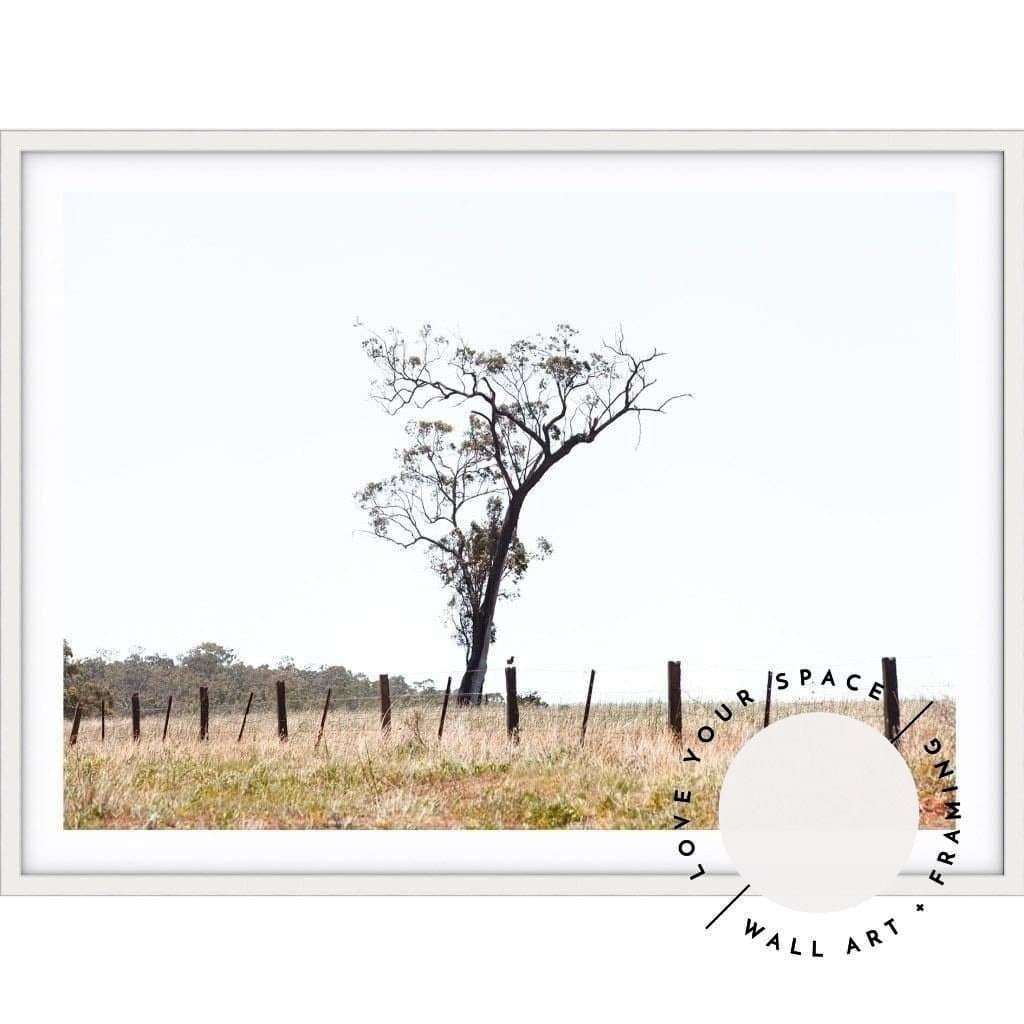 Outback no.2 - The Hunter Valley - Love Your Space
