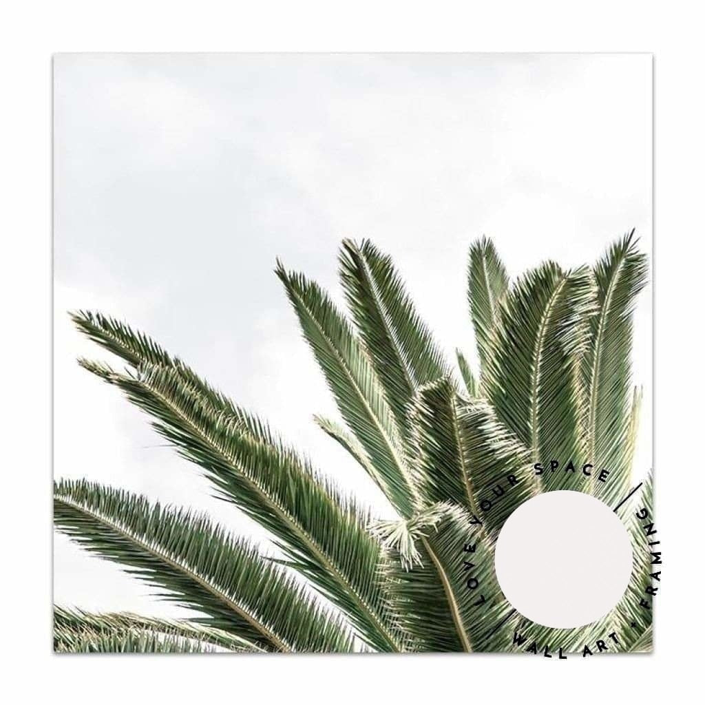 Palm I - SQUARE - Love Your Space