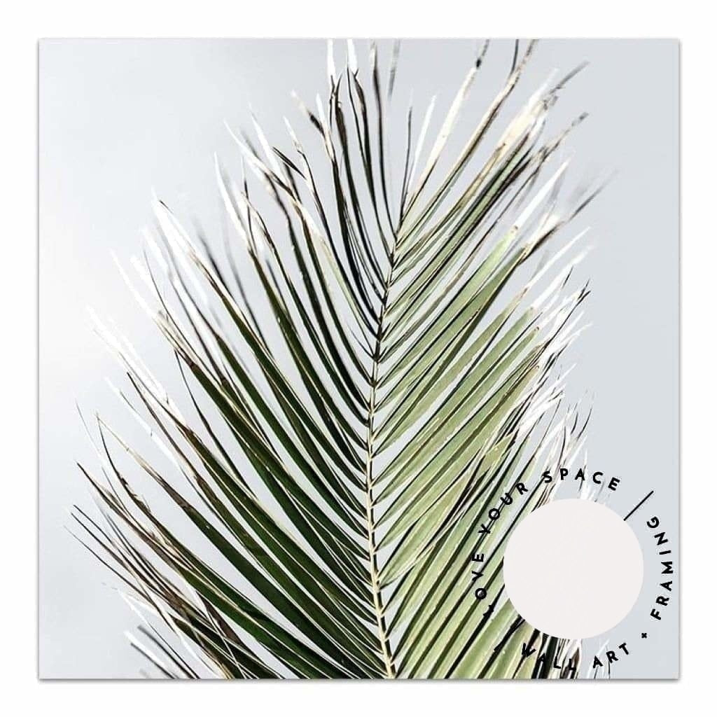 Palm II- SQUARE - Love Your Space