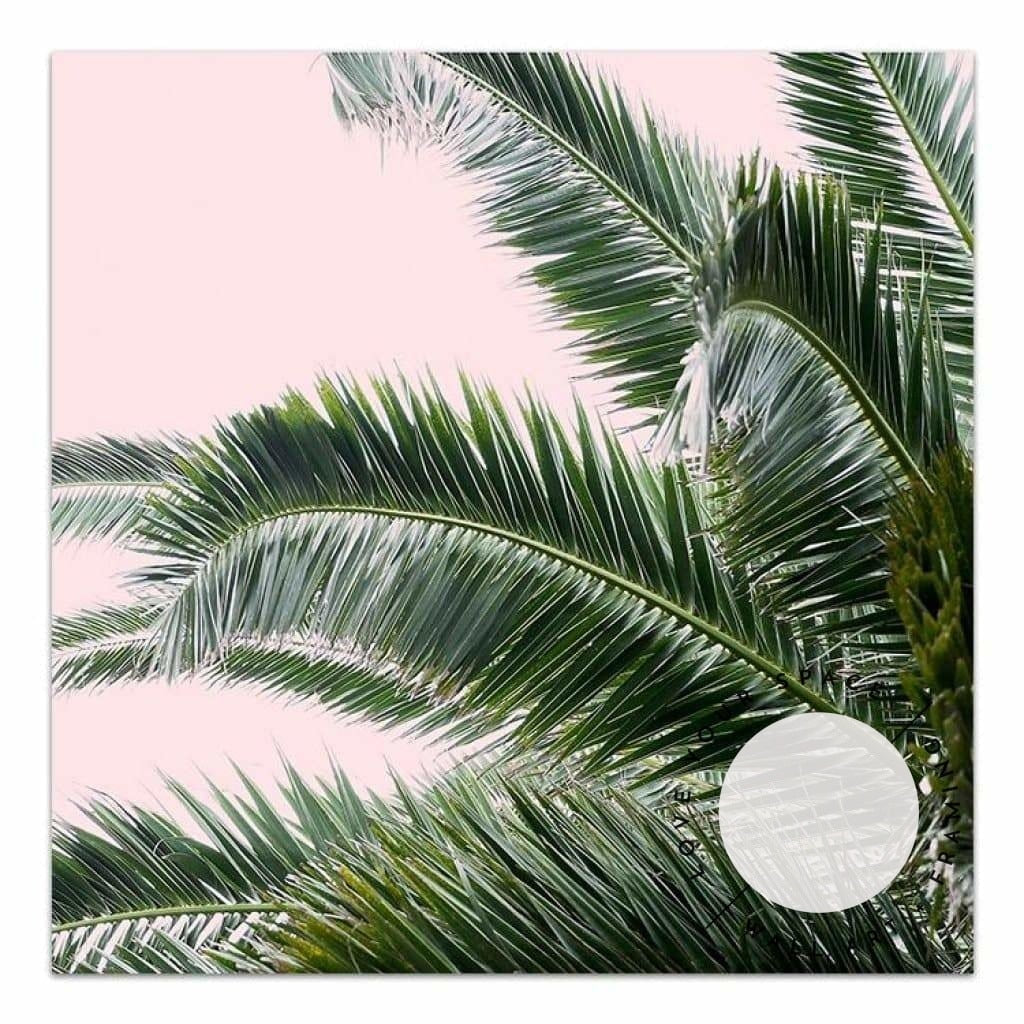 Palms On Pink - SQUARE - Love Your Space