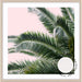 Palms On Pink - SQUARE - Love Your Space