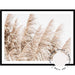 Pampas Grass no.4 - Love Your Space