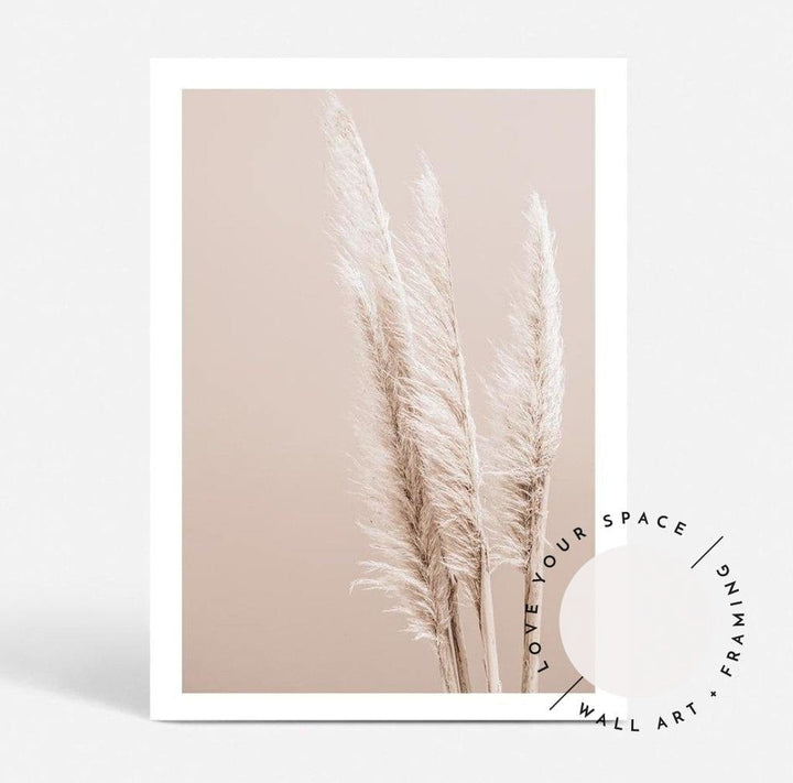 Pampas on Peach - Love Your Space