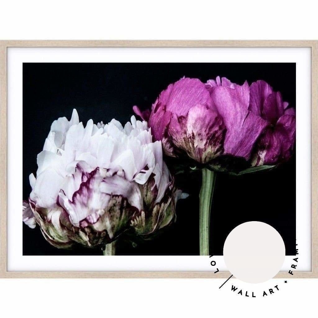 Peony Pair - Love Your Space