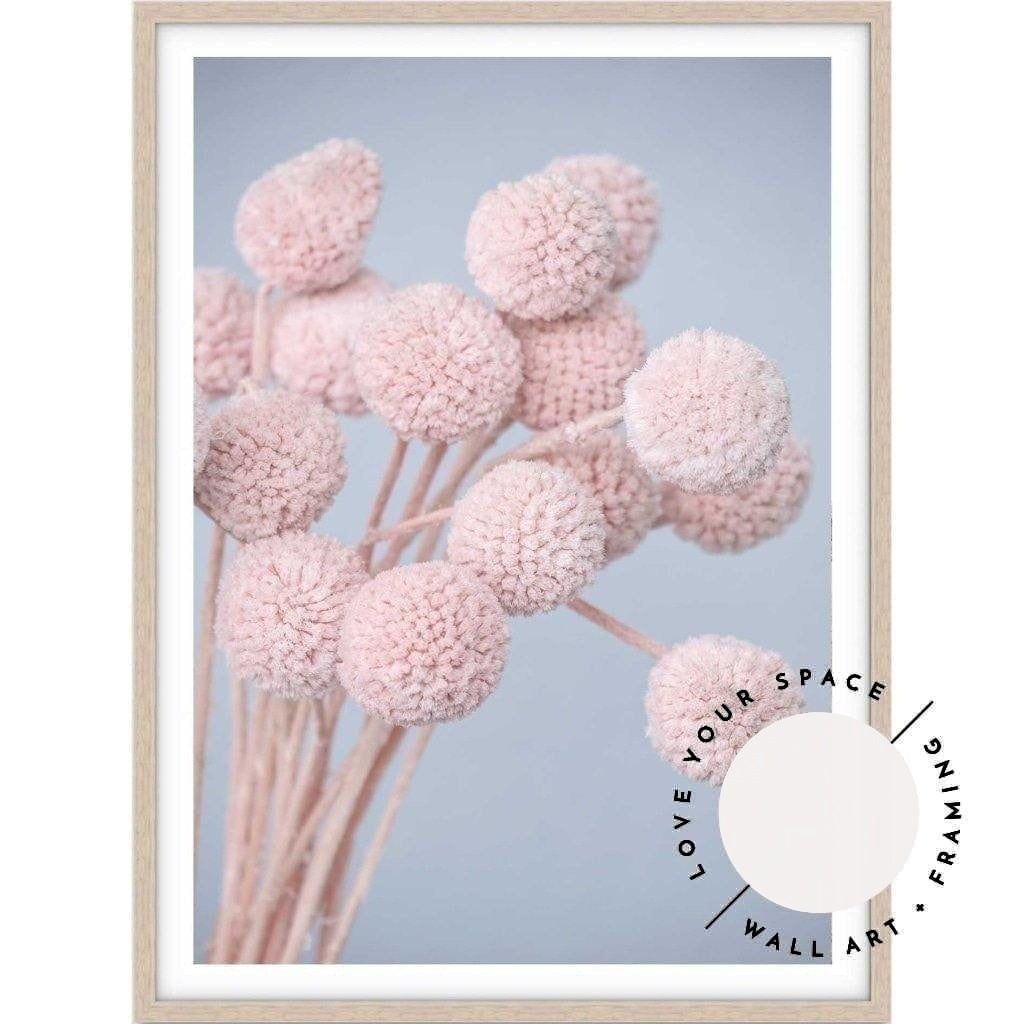 Pink Billy Buttons - Love Your Space
