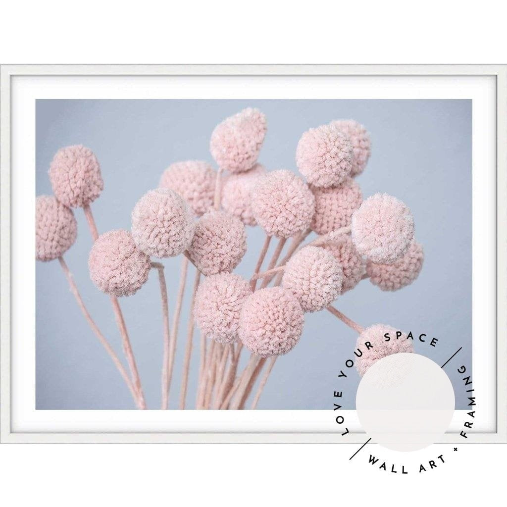 Pink Billy Buttons - LS - Love Your Space